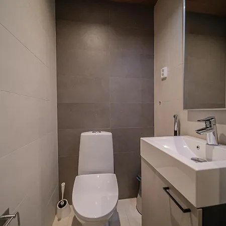 Lomavuokra Alpine Tunturinlaita Huoneisto Levi