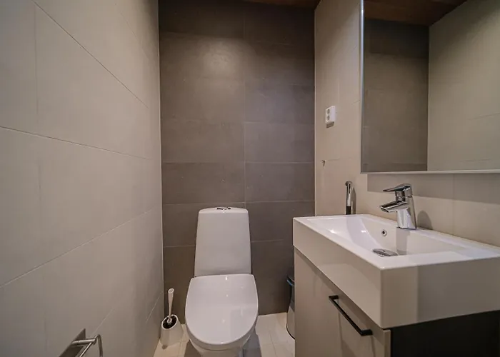 Lomavuokra Alpine Tunturinlaita 公寓 列维